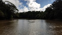 Private Caño Negro Tour