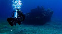 Intro Scuba Dive – Aqaba Coral Reefs