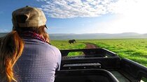 Ngorongoro Crater Day Tour