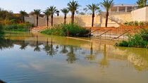Day Tour Bethany Baptism Jordan River Site & Dead Sea from Amman