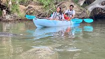 Wildlife Refuge Manatee, Dolphin & Mangrove Kayak or Paddleboarding Tour!