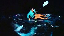 Thousand Islands Bioluminescent Kayak Tour with Cocoa Kayaking!