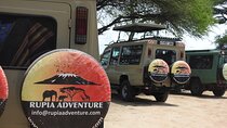 Arusha National Park Day Trip
