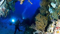 Underwater Museum & Reef Dive in Cancun