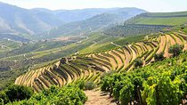 Private Douro Valley Tour Including 3 Wineries