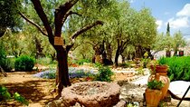 4-Day Christian Tour from Tel Aviv: Jerusalem, Jericho, Bethlehem and Nazareth