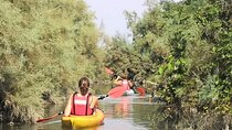 Private Kayak Tour in the Venetian Lagoon
