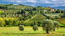 Montecarlo and Wine Tasting from Lucca Private Tour
