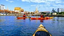 Cartagena In Kayak
