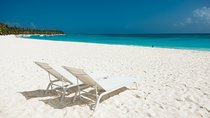 Saona Private Full-Day Tour from Punta Cana