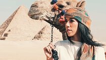 3 Hours Tour to Giza Pyramids & Sphinx with a camel - Private tour