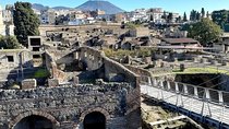 the splendour of Herculaneum ruins with guide
