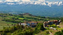 Langhe and Barolo Wine Tour from Turin