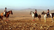 Horseback Riding in Fuerteventura for 1 or 2 hours, Spain 