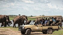 Chobe Day Trip, Botswana
