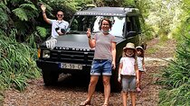 Private Half Day Off Road Tour in Madeira