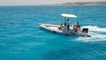 Private Speedboat Trip To Dolphin House In Hurghada