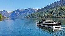 Private tour - Viking Village, Nærøyfjord Cruise and Flåm Railway