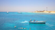 Swim With Dolphins Tour Hurghada