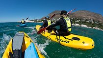 Full Day Private Sea Kayaking & Cape Point