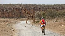 Hell's Gate National Park Private Bike Tour from Nairobi