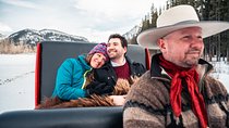 Private Horse-Drawn Sleigh Ride In Banff