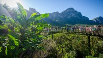 Full Day Private City & Kirstenbosch Gardens