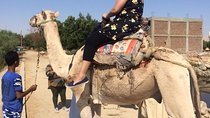 Best of Egypt: 7-Nights Cairo, Aswan, Luxor and Nile Cruise with Flights