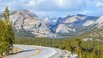 Yosemite and Tahoe from San Francisco: 4 Day Sierra Nevada Tour