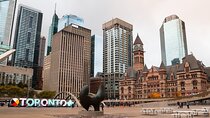 A Full Day In Toronto: Private And Personalized