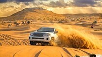 Desert Safari 4x4 Dunes, Camel Riding, BBQ & Live Shows 