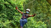 Rainforest Canopy Adventure Pacific