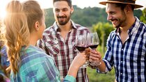 Muir Woods & Wine Tour: Redwoods & Tastings at 3 Wineries