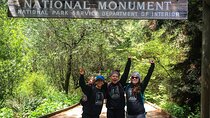 Muir Woods with Napa & Sonoma Wine Tour + Alcatraz & Aquarium Access