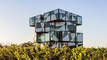 Small Group McLaren Vale and The Cube Experience