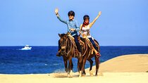 Cabo Horseback Riding on Migriño Beach 