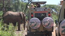 6-Day Big Five Magic Safari Tour