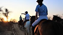 Aravali Trail Experience( Jungle Safari Forest area)- Horseback Riding