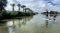 Wildlife Refuge Dolphin, Manatee & Mangrove Kayak or Paddleboarding Tour!
