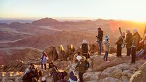 Sharm-El-Sheikh: Mount Sinai Hike & Dahab Private Tour