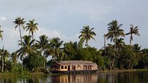 Kerala Backwater Tour in Alleppey
