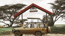 Full-Day Safari Tour Lake Manyara or Tarangire National Park 
