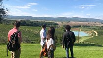 Guided Siena Tour followed by Lunch in a Winery