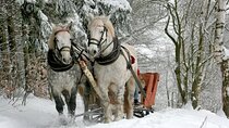 Zakopane & Sleigh Ride with Bonfire - Private Day Trip from Krakow