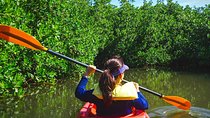 Fort Lauderdale’s Tropical Kayak Tour and Island Adventure