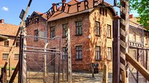 From Krakow: Live Guided Tour Auschwitz-Birkenau