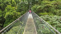 Congo Combo: Thrilling Hanging Bridges and Zipline Adventure