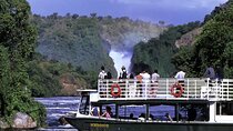 Private 7 Days Murchison Falls, Semliki & Kibale Forest 