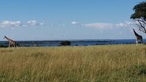 3 Days 2 Nights, Murchison Falls And Wildlife Safari