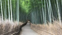 Full-Day Private Guided Tour to Kyoto, Arashiyama